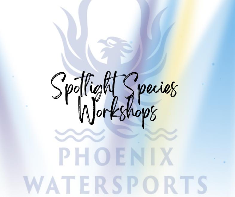 spotlight species workshops