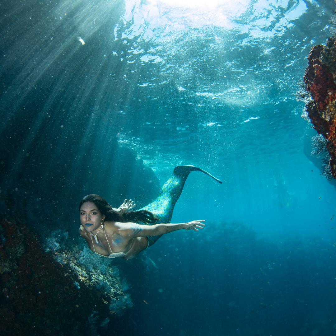 mermaid on ynys mon